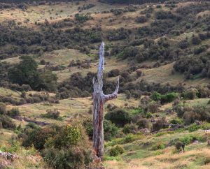 North basin terrain landscape in Poronui