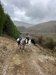 two riders on horses